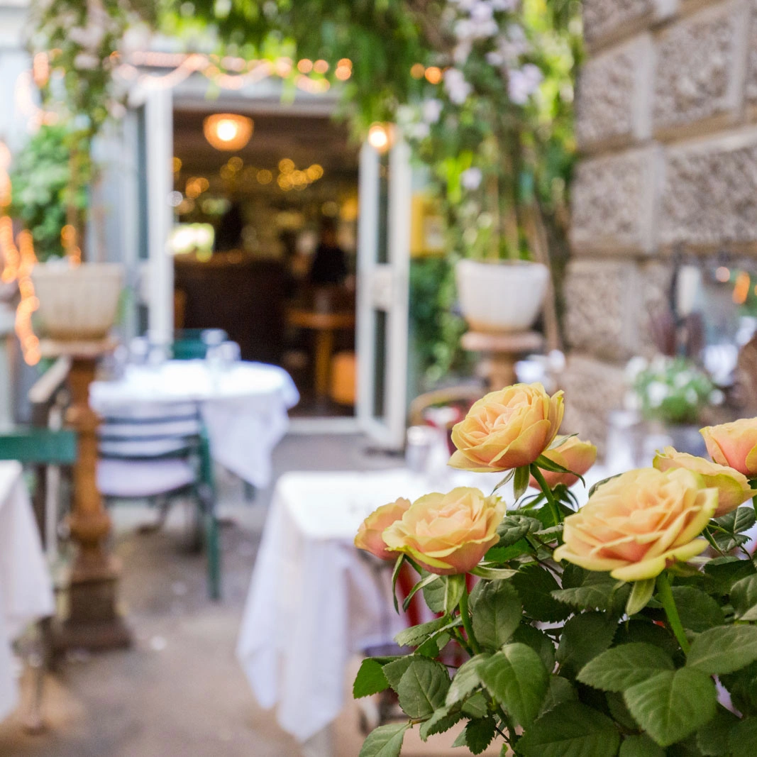 Blick in den Garten des Zum blauen Engel mit Rosen